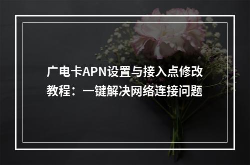 广电卡APN设置与接入点修改教程：一键解决网络连接问题