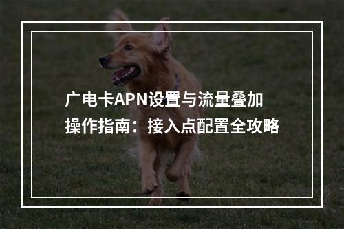 广电卡APN设置与流量叠加操作指南：接入点配置全攻略