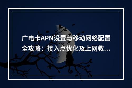 广电卡APN设置与移动网络配置全攻略：接入点优化及上网教程