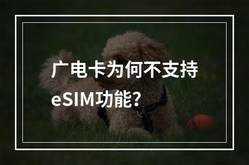 广电卡为何不支持eSIM功能？