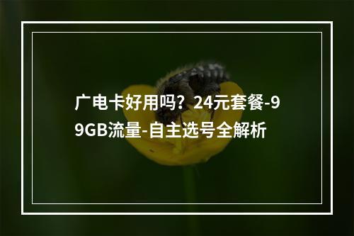 广电卡好用吗？24元套餐-99GB流量-自主选号全解析