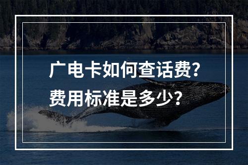广电卡如何查话费？费用标准是多少？