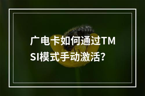 广电卡如何通过TMSI模式手动激活？
