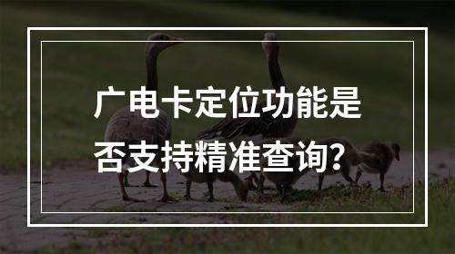 广电卡定位功能是否支持精准查询？