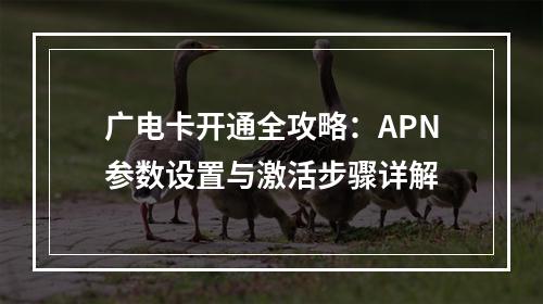 广电卡开通全攻略：APN参数设置与激活步骤详解