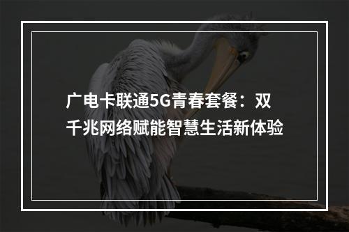 广电卡联通5G青春套餐：双千兆网络赋能智慧生活新体验