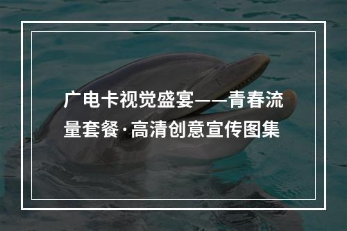 广电卡视觉盛宴——青春流量套餐·高清创意宣传图集