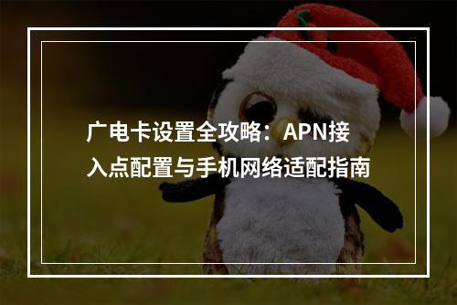 广电卡设置全攻略：APN接入点配置与手机网络适配指南