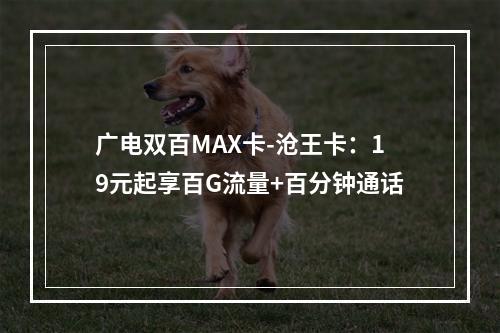 广电双百MAX卡-沧王卡：19元起享百G流量+百分钟通话
