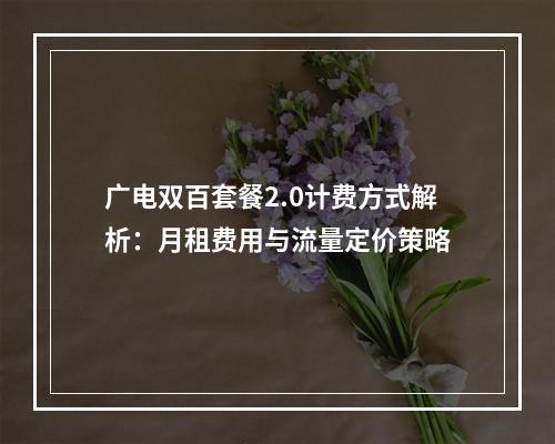 广电双百套餐2.0计费方式解析：月租费用与流量定价策略
