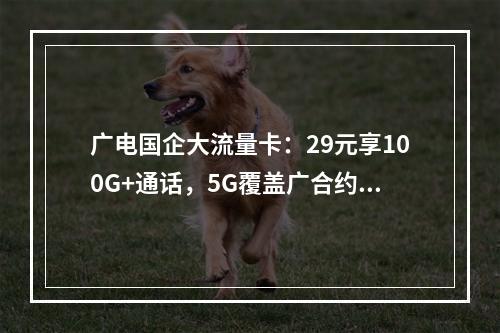 广电国企大流量卡：29元享100G+通话，5G覆盖广合约期透明