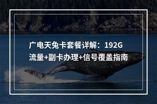 广电天兔卡套餐详解：192G流量+副卡办理+信号覆盖指南