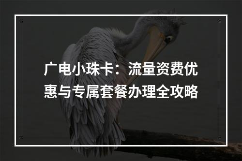 广电小珠卡：流量资费优惠与专属套餐办理全攻略
