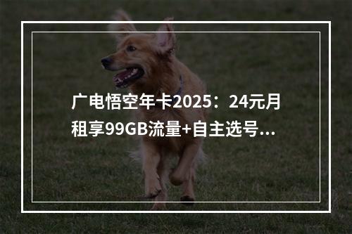 广电悟空年卡2025：24元月租享99GB流量+自主选号攻略