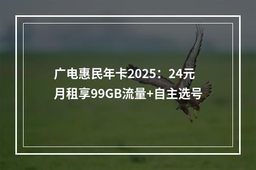广电惠民年卡2025：24元月租享99GB流量+自主选号