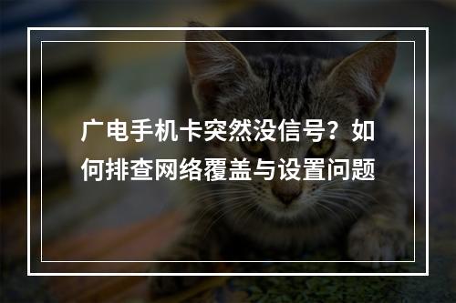 广电手机卡突然没信号？如何排查网络覆盖与设置问题