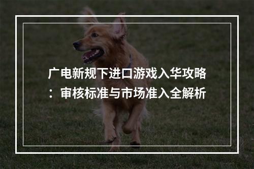 广电新规下进口游戏入华攻略：审核标准与市场准入全解析