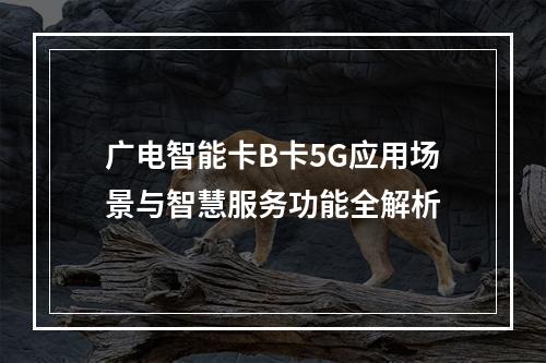 广电智能卡B卡5G应用场景与智慧服务功能全解析