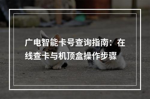 广电智能卡号查询指南：在线查卡与机顶盒操作步骤