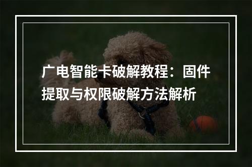广电智能卡破解教程：固件提取与权限破解方法解析