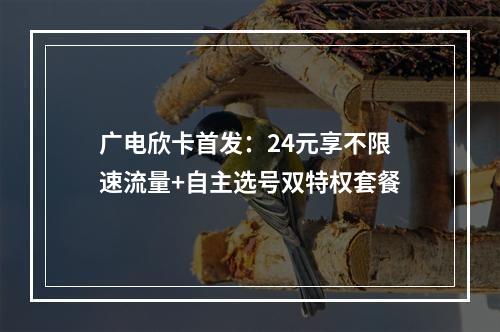 广电欣卡首发：24元享不限速流量+自主选号双特权套餐