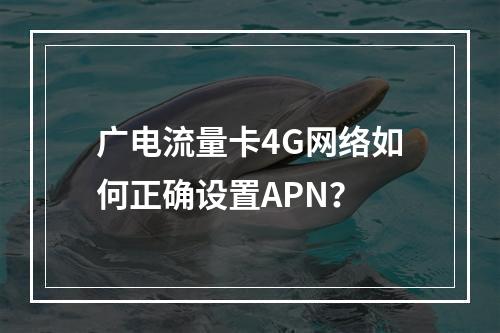 广电流量卡4G网络如何正确设置APN？