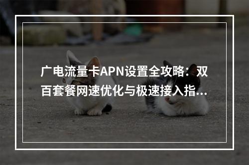 广电流量卡APN设置全攻略：双百套餐网速优化与极速接入指南