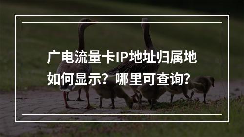 广电流量卡IP地址归属地如何显示？哪里可查询？