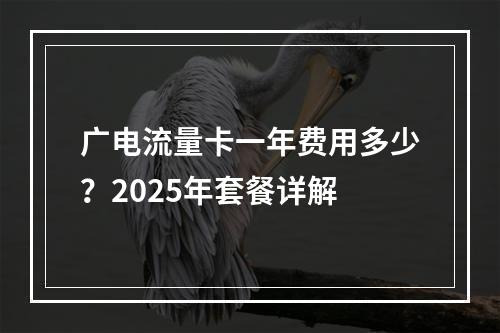 广电流量卡一年费用多少？2025年套餐详解