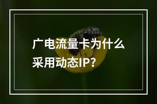 广电流量卡为什么采用动态IP？