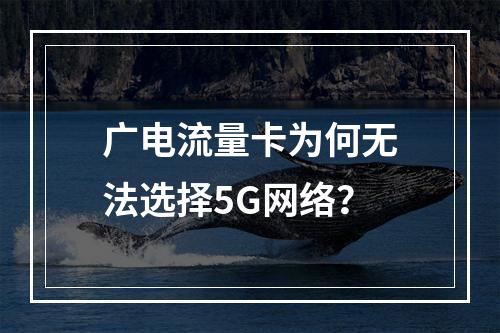 广电流量卡为何无法选择5G网络？