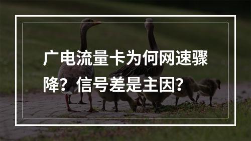 广电流量卡为何网速骤降？信号差是主因？