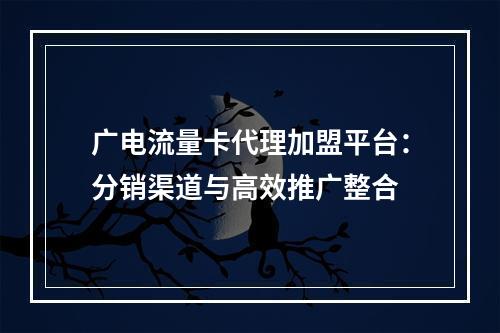 广电流量卡代理加盟平台：分销渠道与高效推广整合