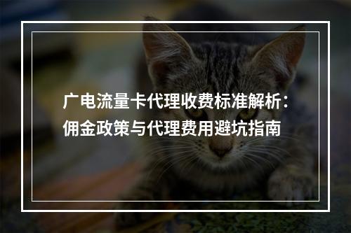 广电流量卡代理收费标准解析：佣金政策与代理费用避坑指南