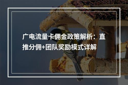 广电流量卡佣金政策解析：直推分佣+团队奖励模式详解