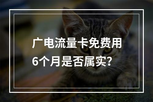 广电流量卡免费用6个月是否属实？