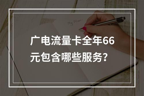 广电流量卡全年66元包含哪些服务？