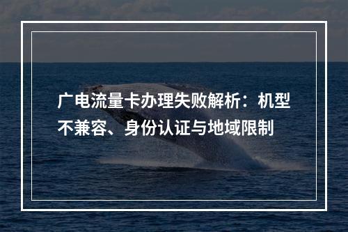 广电流量卡办理失败解析：机型不兼容、身份认证与地域限制