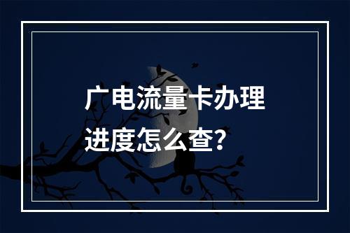 广电流量卡办理进度怎么查？