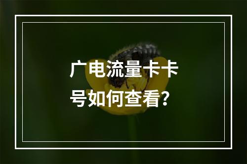 广电流量卡卡号如何查看？
