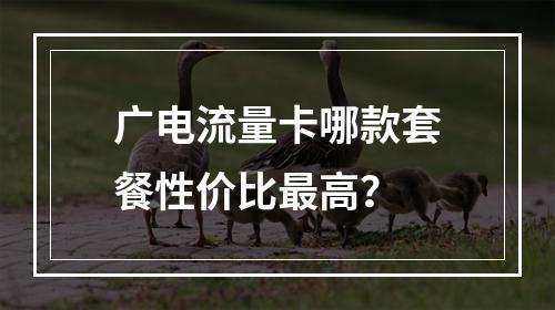 广电流量卡哪款套餐性价比最高？