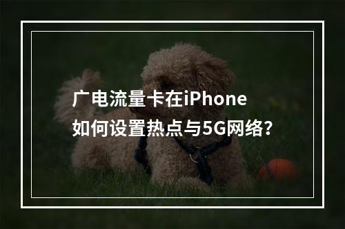 广电流量卡在iPhone如何设置热点与5G网络？