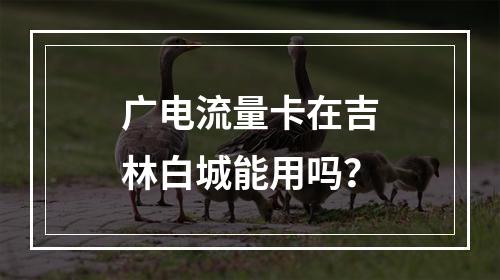 广电流量卡在吉林白城能用吗？