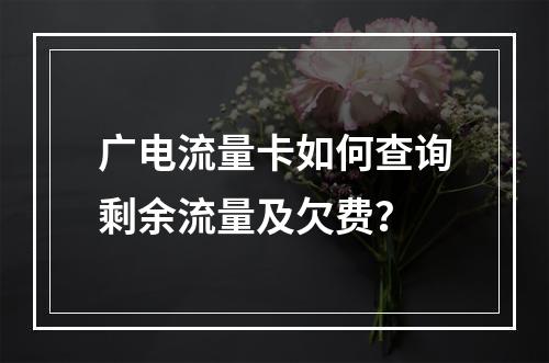 广电流量卡如何查询剩余流量及欠费？