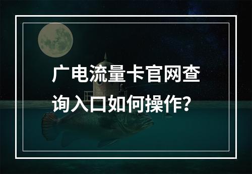 广电流量卡官网查询入口如何操作？