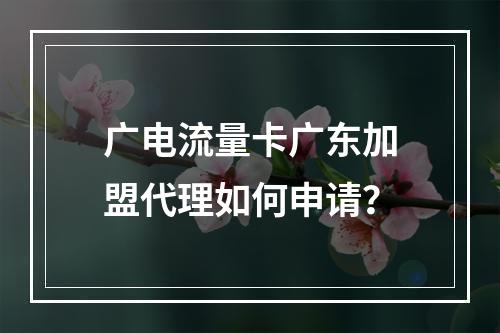 广电流量卡广东加盟代理如何申请？