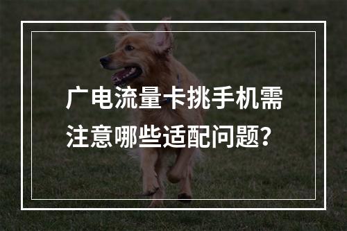 广电流量卡挑手机需注意哪些适配问题？