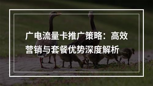 广电流量卡推广策略：高效营销与套餐优势深度解析