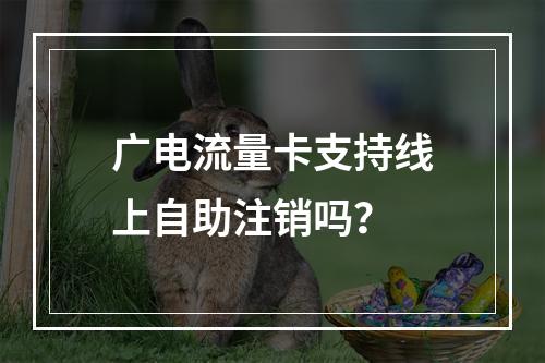 广电流量卡支持线上自助注销吗？
