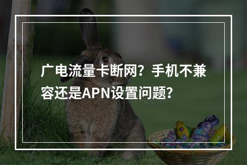 广电流量卡断网？手机不兼容还是APN设置问题？